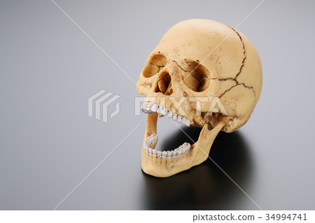 Laughing skull replica Laughing skull replica 34994741