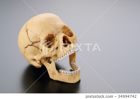 Laughing skull replica Laughing skull replica 34994742