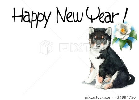 New Year's card postcard material black rattan dog horizontal type with dog's song 34994750