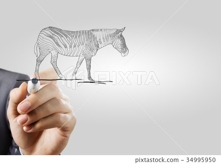 Protect animals 34995950