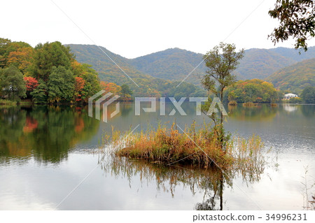 索根湖 34996231