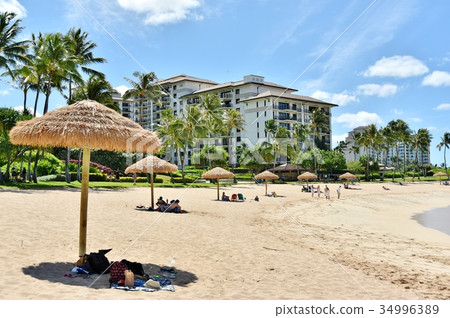 Holidays in Hawaii Holidays in Hawaii 34996389