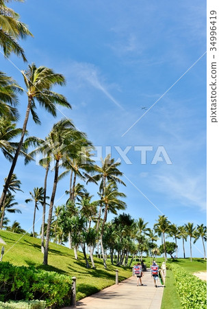 Holidays in Hawaii 34996419