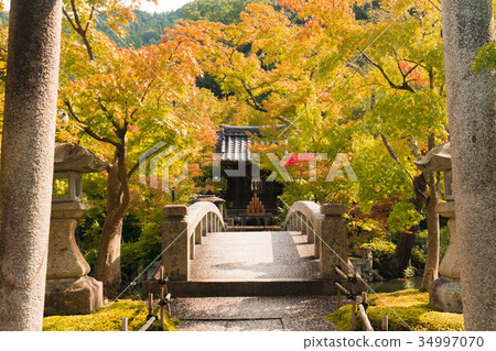 京都Eikan-do 34997070