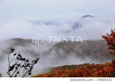 Autumn leaves of Western Azuma Sky Valley 34998331