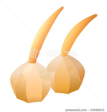 New Year dishes _ Kwai 34999033