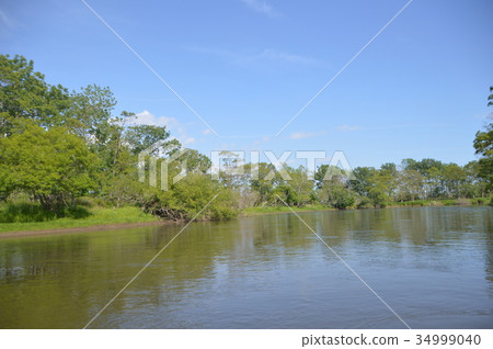 釧路濕地(北海道) 釧路濕地(北海道) 34999040