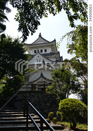 Ogaki castle 34999063