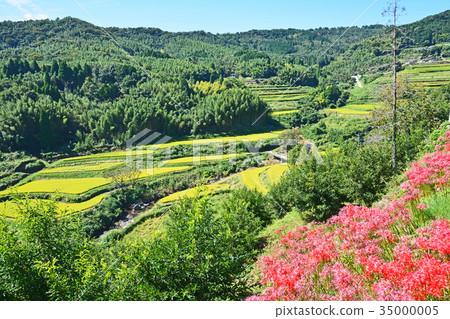  Inner rice terrace 35000005