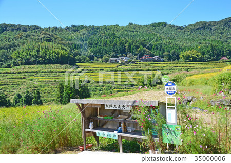  Inner rice terrace 35000006