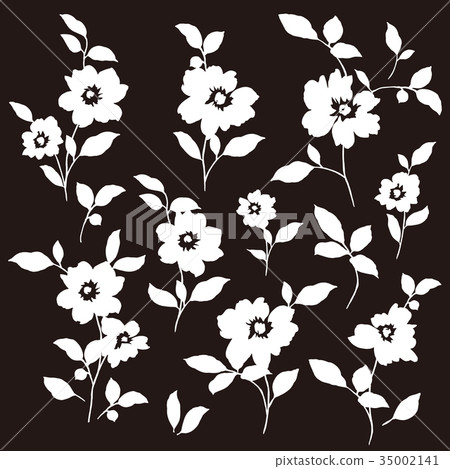  Flower illustration material 35002141