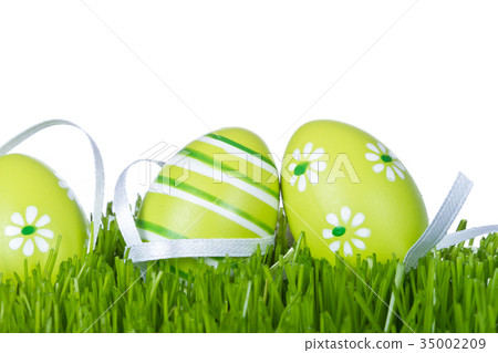 easter eggs in grass 35002209