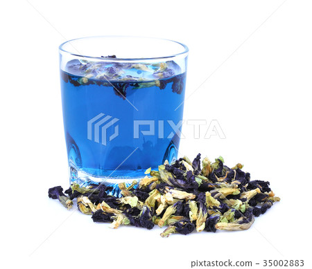 dried butterfly pea flower with butterfly pea tea dried butterfly pea flower with butterfly pea tea 35002883