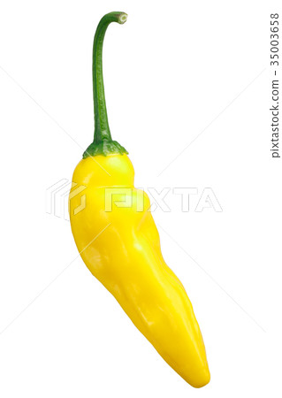 Aji Pineapple chile C. bacatum, paths 35003658