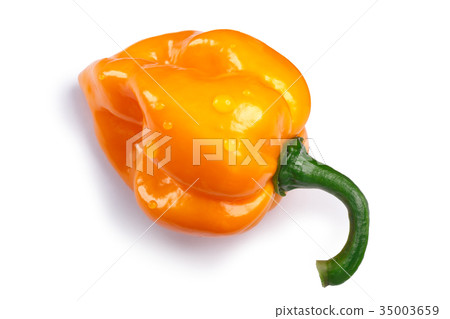 Numex Suave Orange chile, paths, top view Numex Suave Orange chile, paths, top view 35003659