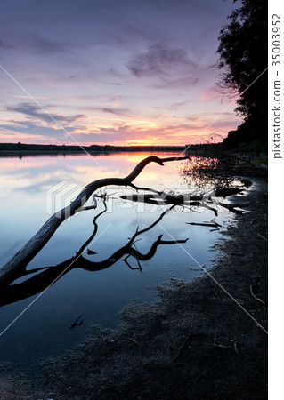 Pregnant woman caressing her belly Pregnant woman caressing her belly 35003952