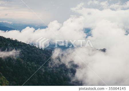 Mountainous rain fog and forest landscape 35004145