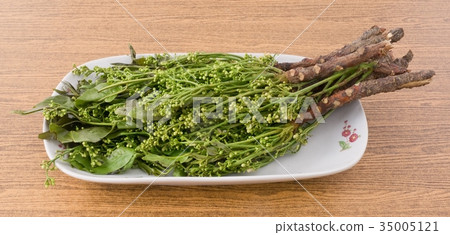 Dish of Fresh Neem Leaves and Blossom 35005121