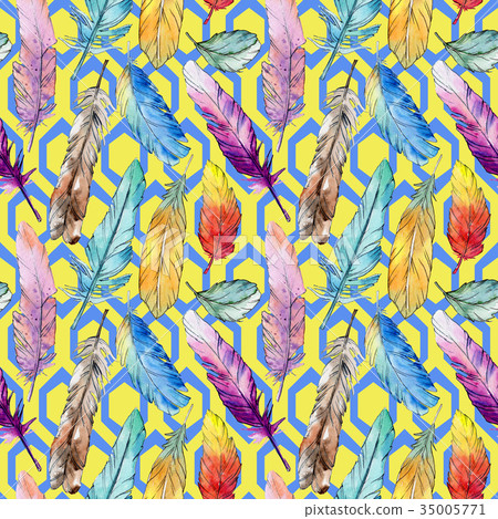 Watercolor bird feather pattern from wing. Watercolor bird feather pattern from wing. 35005771
