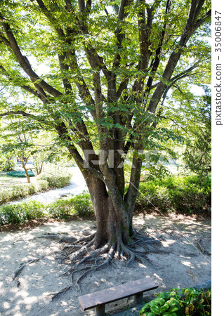 Goryeongji (Historic Site 133), Ganghwa-gun, Incheon 35006847