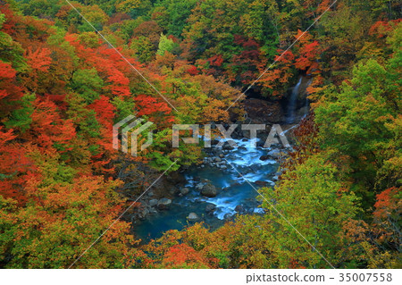 Hachimantai of autumn leaves Hachimantai of autumn leaves 35007558