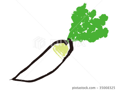 Radish watercolor painting Radish watercolor painting 35008325