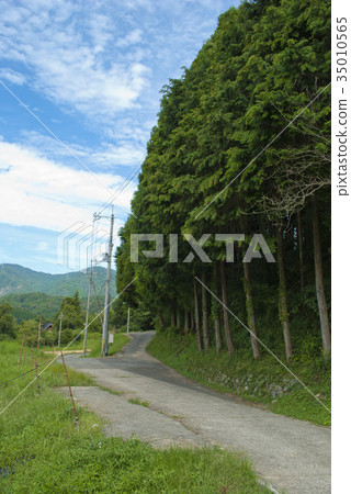 在Hase的Tanada農場路 在Hase的Tanada農場路 35010565