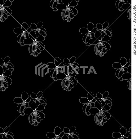 Cassia Fistula - Golden Shower Flower  35010666