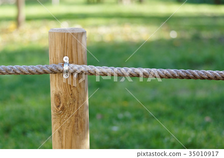 A wooden stake with thick ropes protects A wooden stake with thick ropes protects 35010917