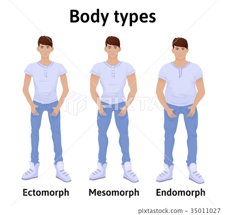 Constitution of human body. Man body types 35011027