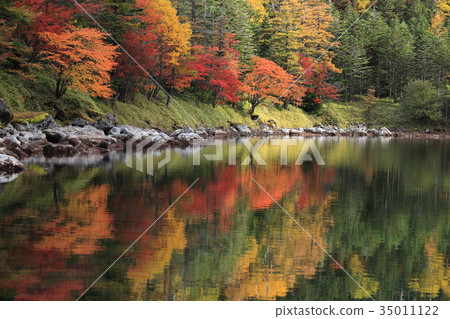 Northern Yatsugatake Twins Pond Yu Pond Autumn leaves 35011122