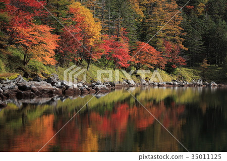 Deep autumn Kita Yatsugatake Twins pond Deep autumn Kita Yatsugatake Twins pond 35011125