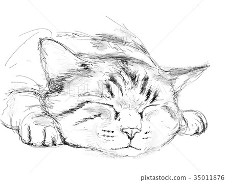 Sleeping cat illustration Sleeping cat illustration 35011876