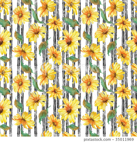 Hand drawn watwrcolor Summer flowers chamomile 35011969