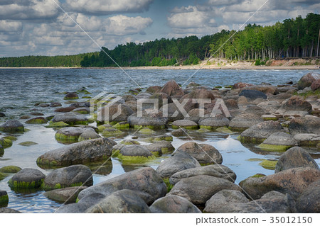Baltic sea coast in summer vacation 35012150