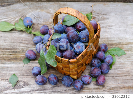 wicker basket of freshly picked plums 35012212