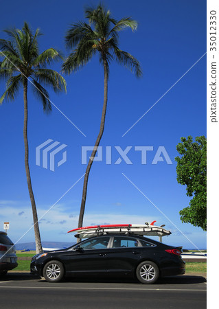 Surfboard and coconut Surfboard and coconut 35012330