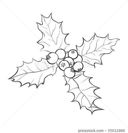 Mistletoe branch with leaves and berries Mistletoe branch with leaves and berries 35012860
