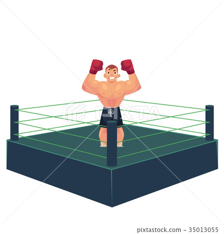 vector flat muscular handsome boxer man vector flat muscular handsome boxer man 35013055