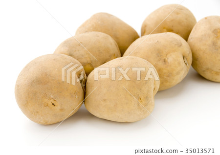 土豆（洞爺） 35013571