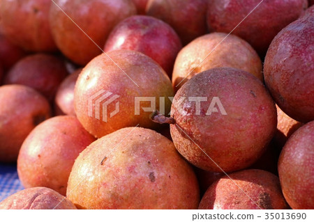 passion fruit 35013690