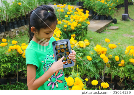 Asian children searching for flower species 35014129