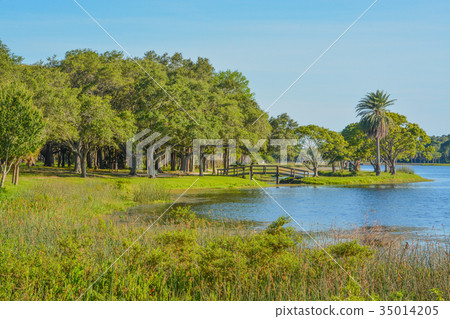 The island at John S. Taylor Park in Largo Florida 35014205