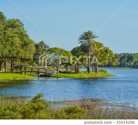 The island at John S. Taylor Park in Largo Florida The island at John S. Taylor Park in Largo Florida 35014206