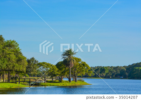 The island at John S. Taylor Park in Largo Florida 35014207