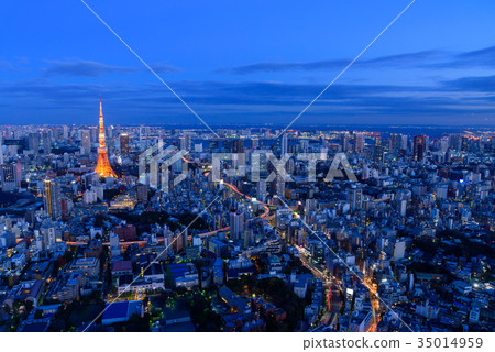 Night view of Tokyo 35014959