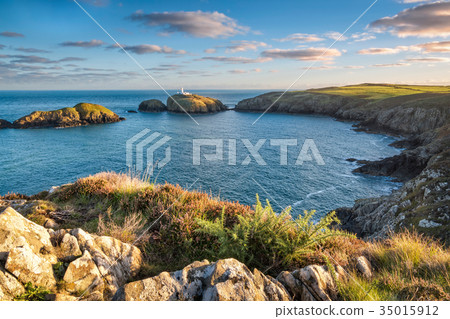 Strumble Head Lighthouse 35015912