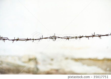 Rusty barbed wire, space for text Rusty barbed wire, space for text 35017751