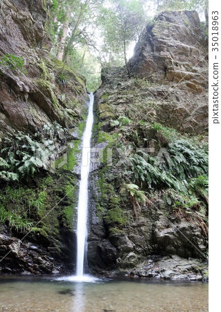 Ikudani Falls(Meroyama Town) Ikudani Falls(Meroyama Town) 35018963