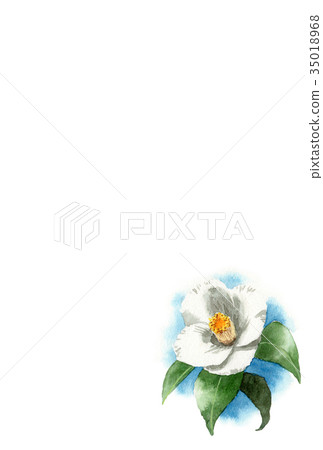 New Year postcard material of white salmon New Year postcard material of white salmon 35018968